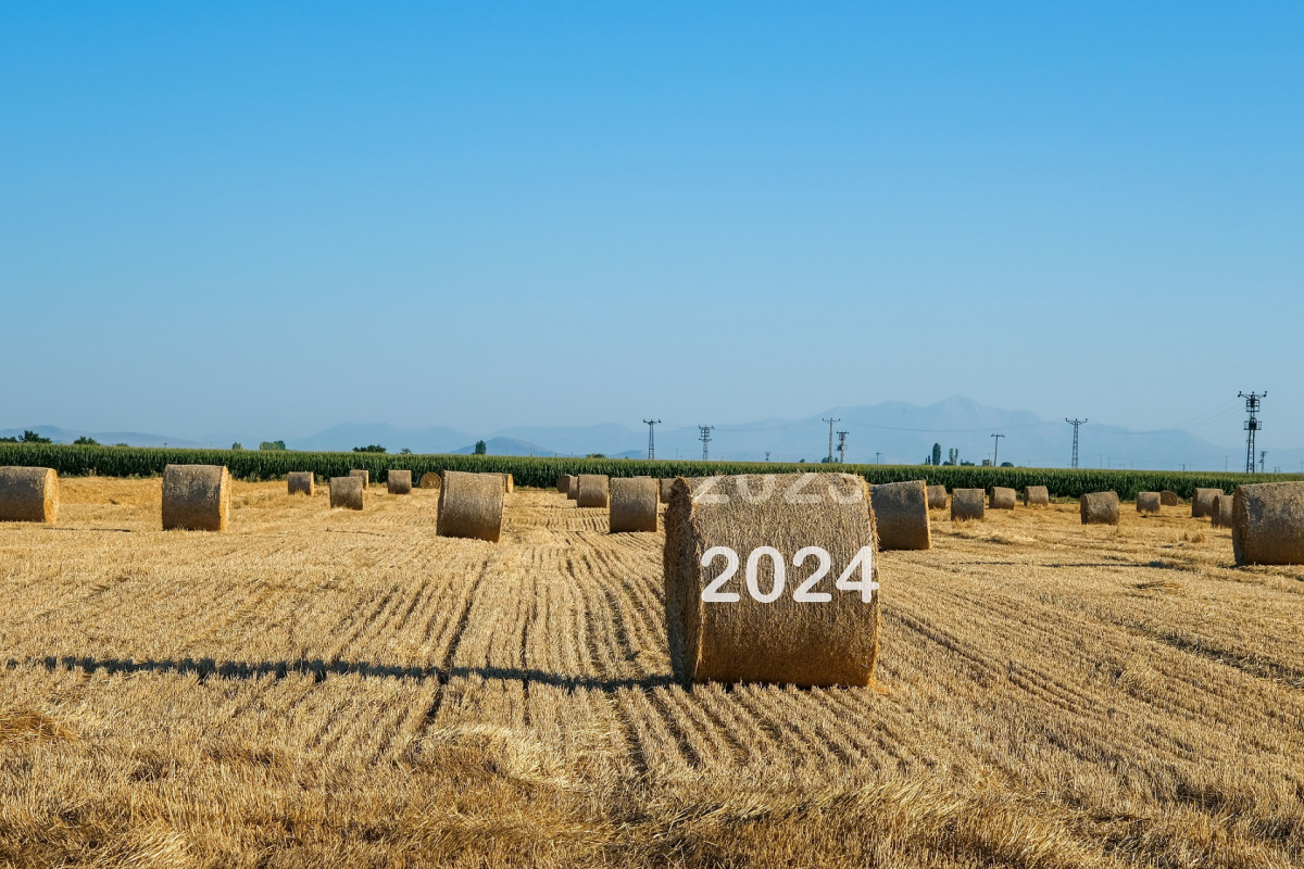 31 maja 2024 r. upływa ważny termin dla rolników-przedsiębiorców