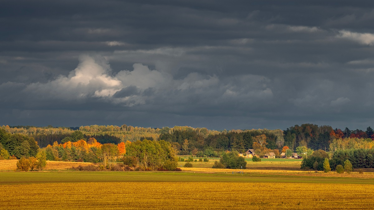 Jak budować odporność rolnictwa na zmiany klimatu? Ogromna rola samorządów gmin wiejskich
