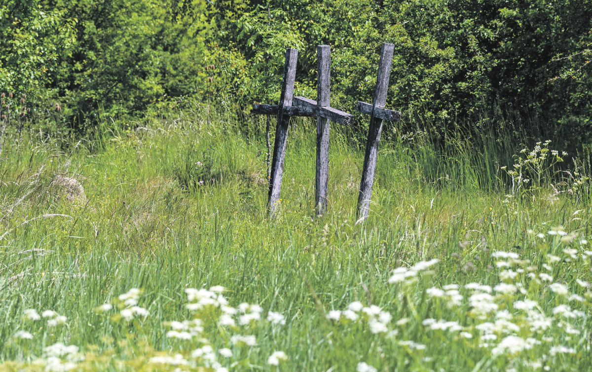 Huta Pieniacka, Ukraina. W miejscowości trwają prowadzone przez IPN i ukraińskich partnerów prace poszukiwawcze w miejscach, gdzie mogą znajdować się mogiły zabitych Polaków