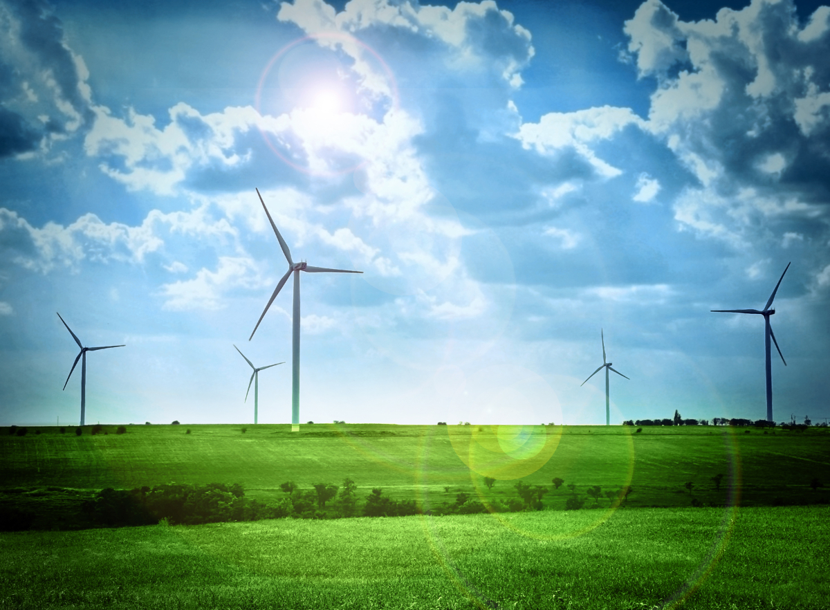Odnawialne źródła energi wiatraki