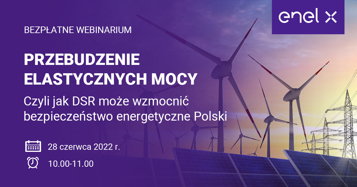 PRZEBUDZENIE ELASTYCZNYCH MOCY. Czyli jak DSR może wzmocnić bezpieczeństwo energetyczne Polski