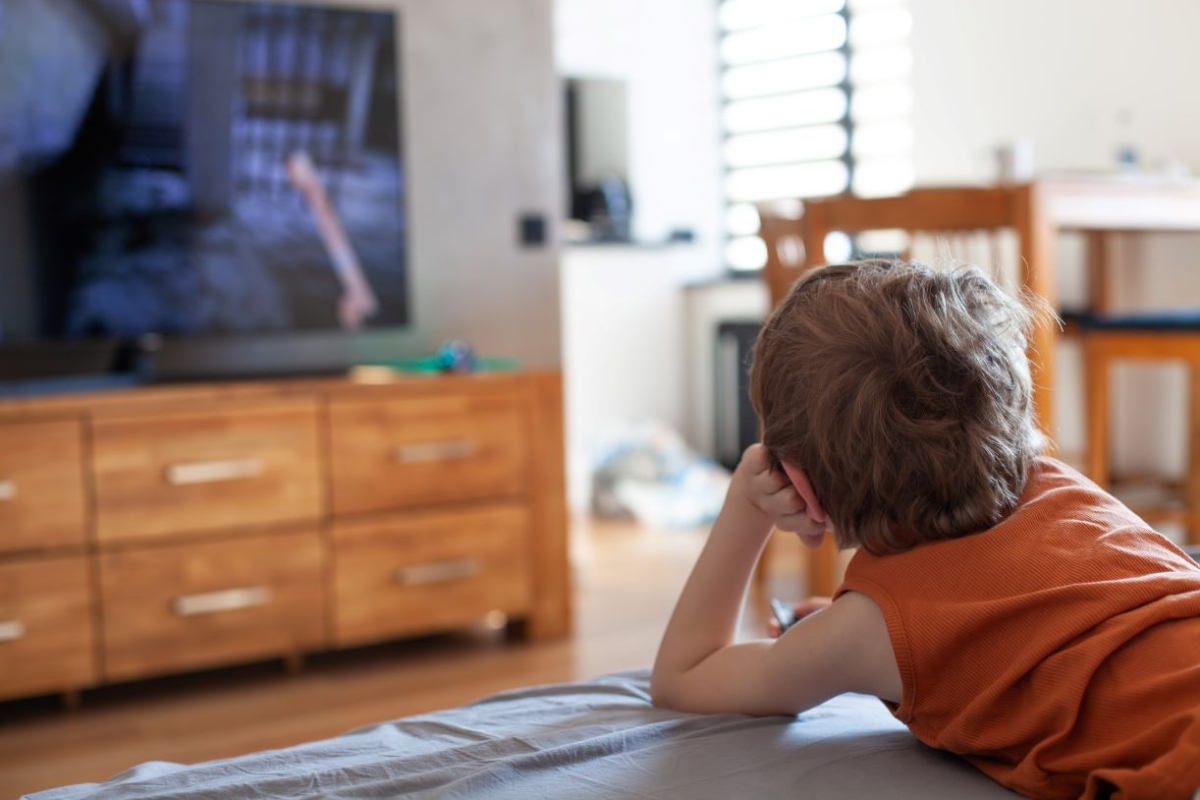 Abonament RTV. Kto ma prawo kontrolować? Kto ma obowiązek rejestracji urządzeń odbierających programy telewizyjne i radiowe?