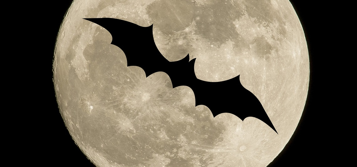 batman ogród nietoperz komary