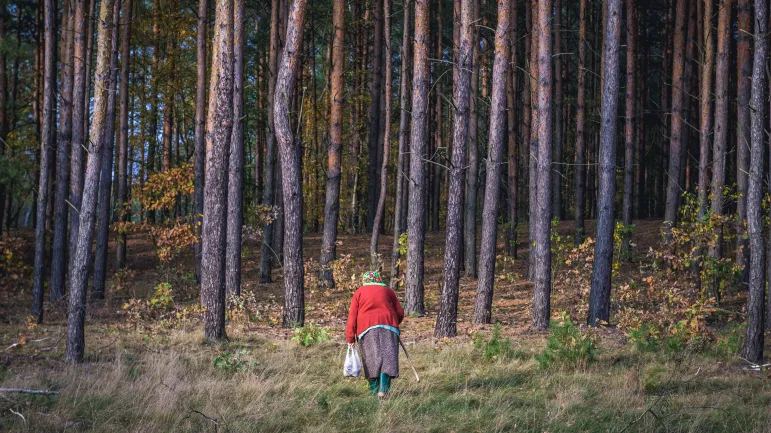 Rząd przyjął stanowisko w obronie polskich lasów