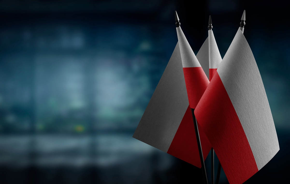wyniki wyborów 2025 zagranica pkw