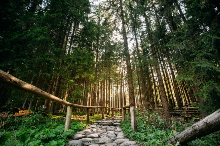 Opłaty za wstęp do parków narodowych - gdzie i kiedy?/Fot. Shutterstock