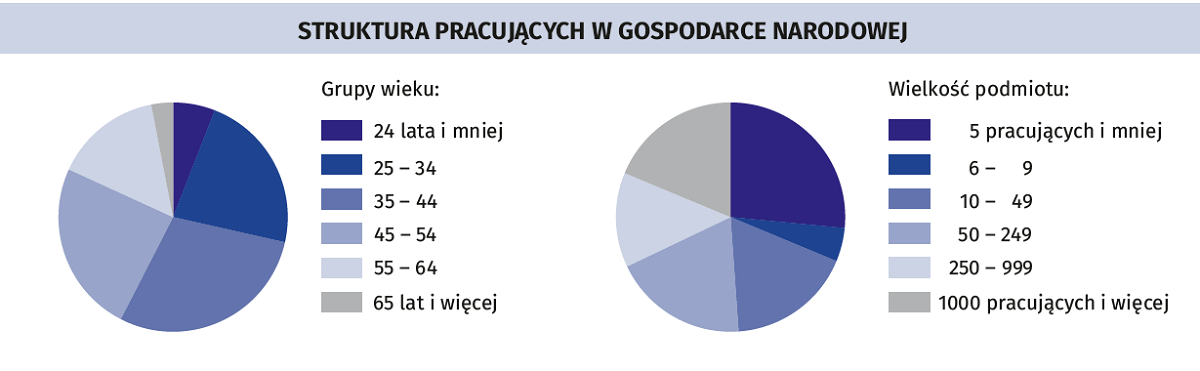 struktura pracujących w gospodarce narodowej