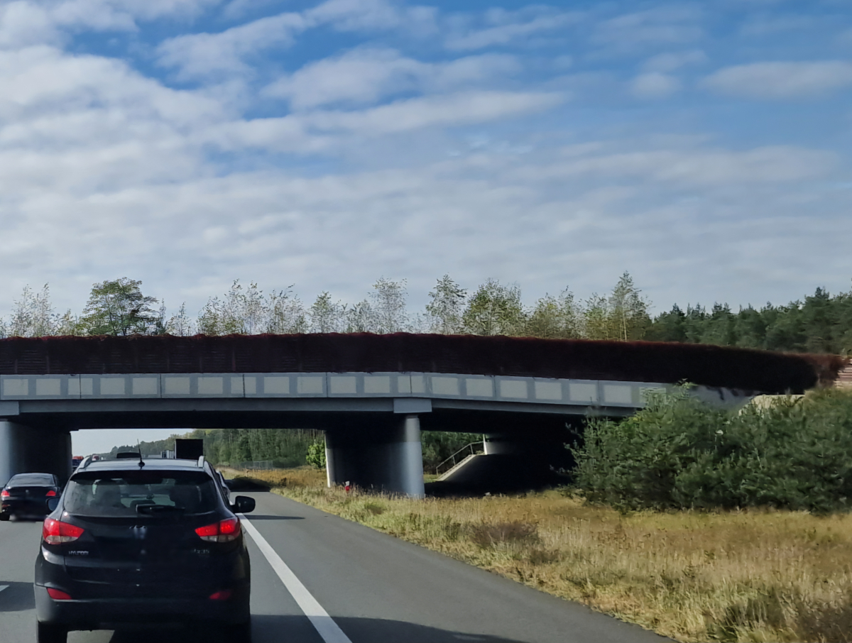 kładka/ Miejska Pracownia Logistyczna