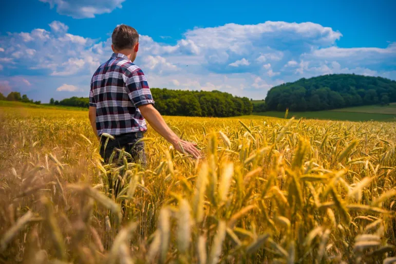 Dopłaty dla rolników 2023. 10 tys. euro rocznie dla gospodarstwa rolnego o pow. 30 ha. Nabory na płatności obszarowe od 15 marca