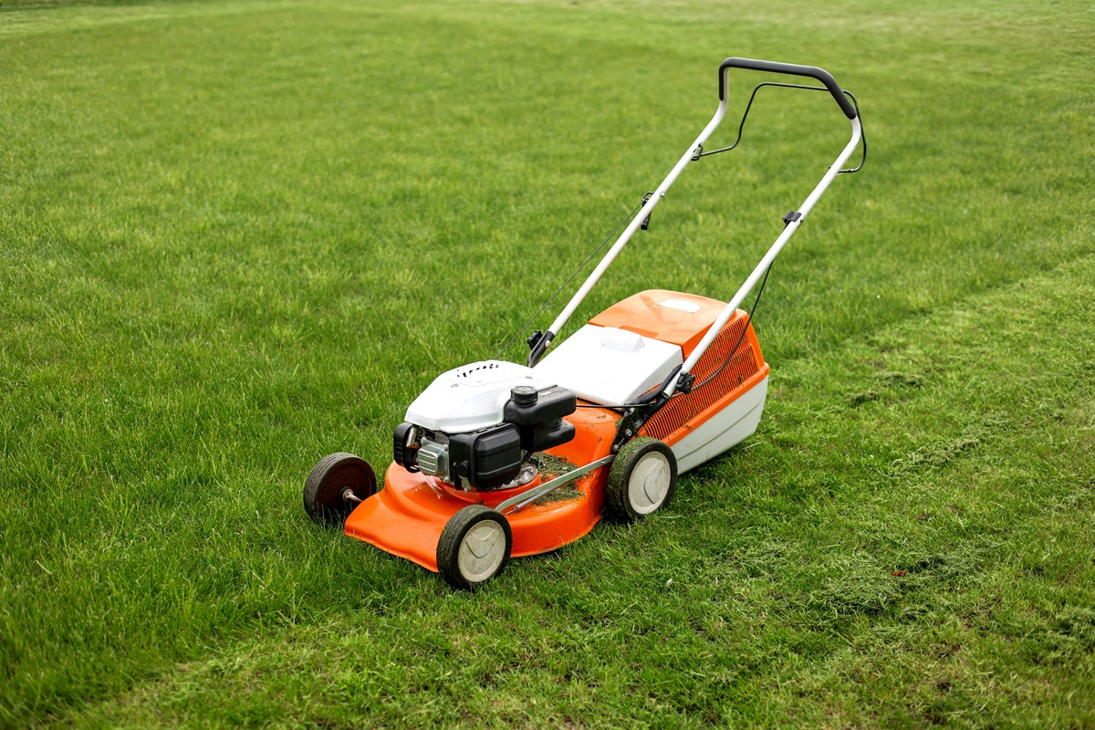 pierwsze koszenie trawy po zimie trawnik