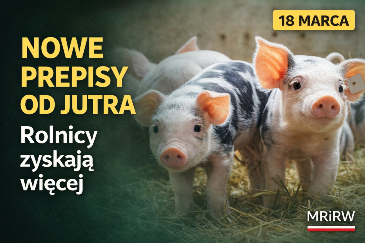 nowe przepisy o zdrowiu zwierząt rolnik