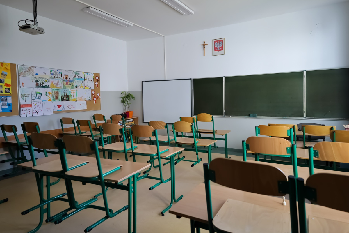 Budżet na szkolenie nauczycieli jest niewielki, efektywność jego wykorzystania zwiększa możliwość korzystania z technik cyfrowych