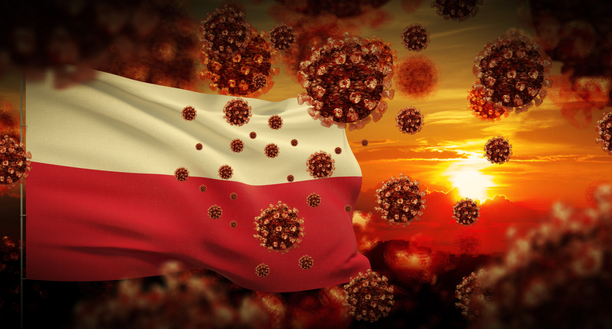 Podatki dochodowe w dobie epidemii – aktualne problemy i wyzwania /shutterstock