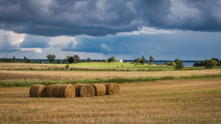 Dodatek dla sołtysów