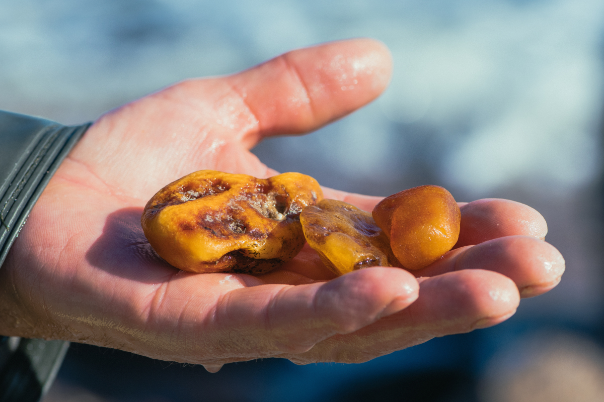 Funkcjonariusze KAS wykryli przemyt bursztynu
