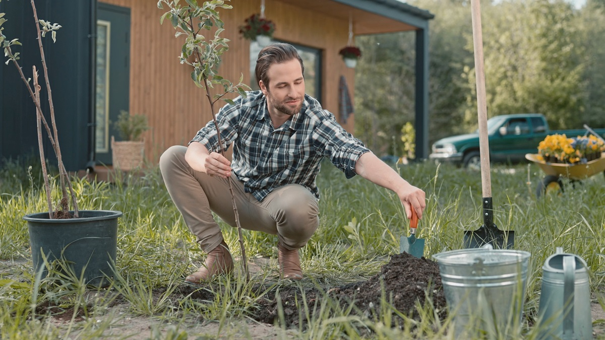 drzewa owocowe krzewy sadzenie jaka odległość