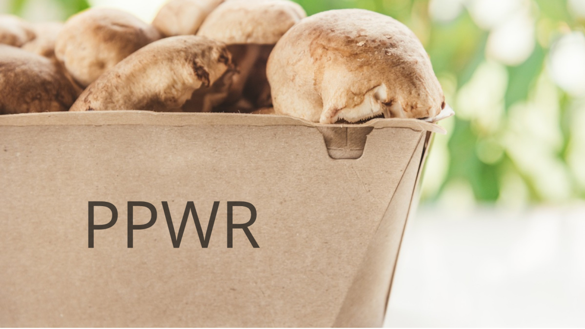 ppwr opakowania akty wykonawcze rozporządzenie