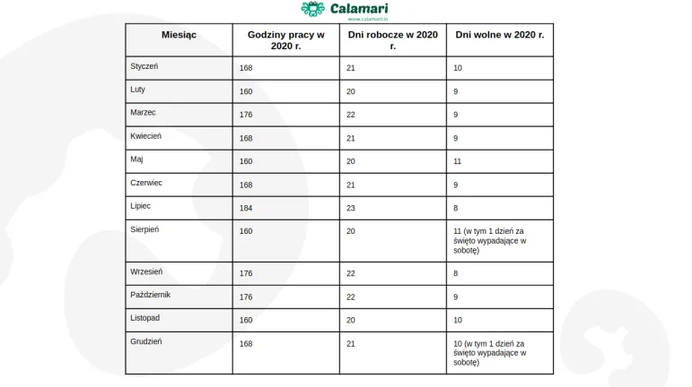 Wymiar czasu pracy w poszczególnych miesiącach 2020 r.