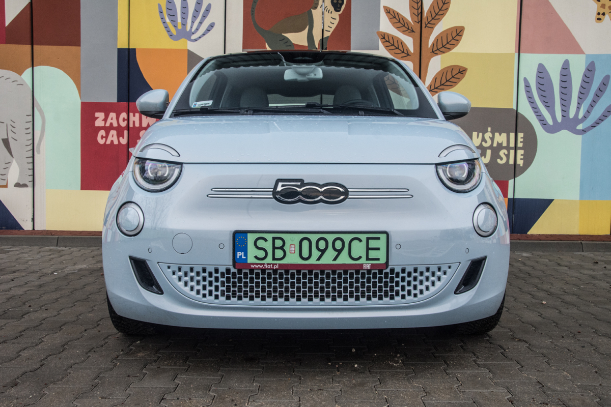 Milion elektryków w Polsce? Tak, ale może za 100 lat...