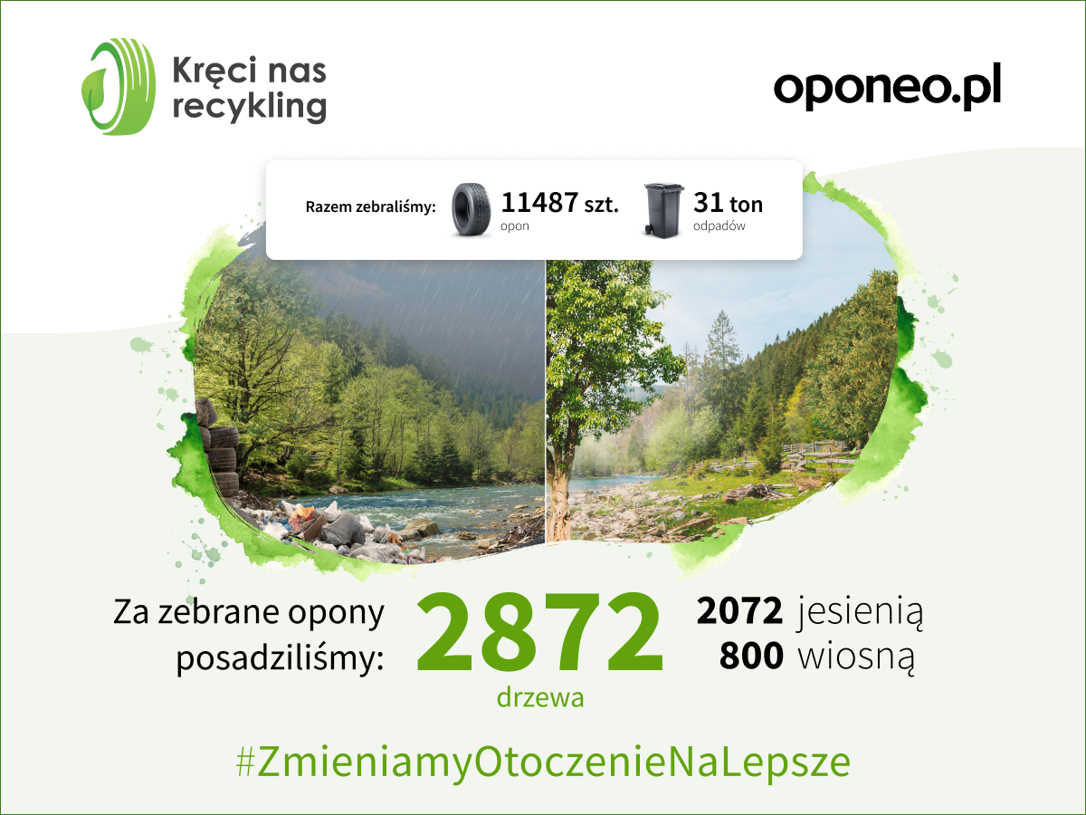 drzewo w zamian za zużyte opony, sadzenie drzew