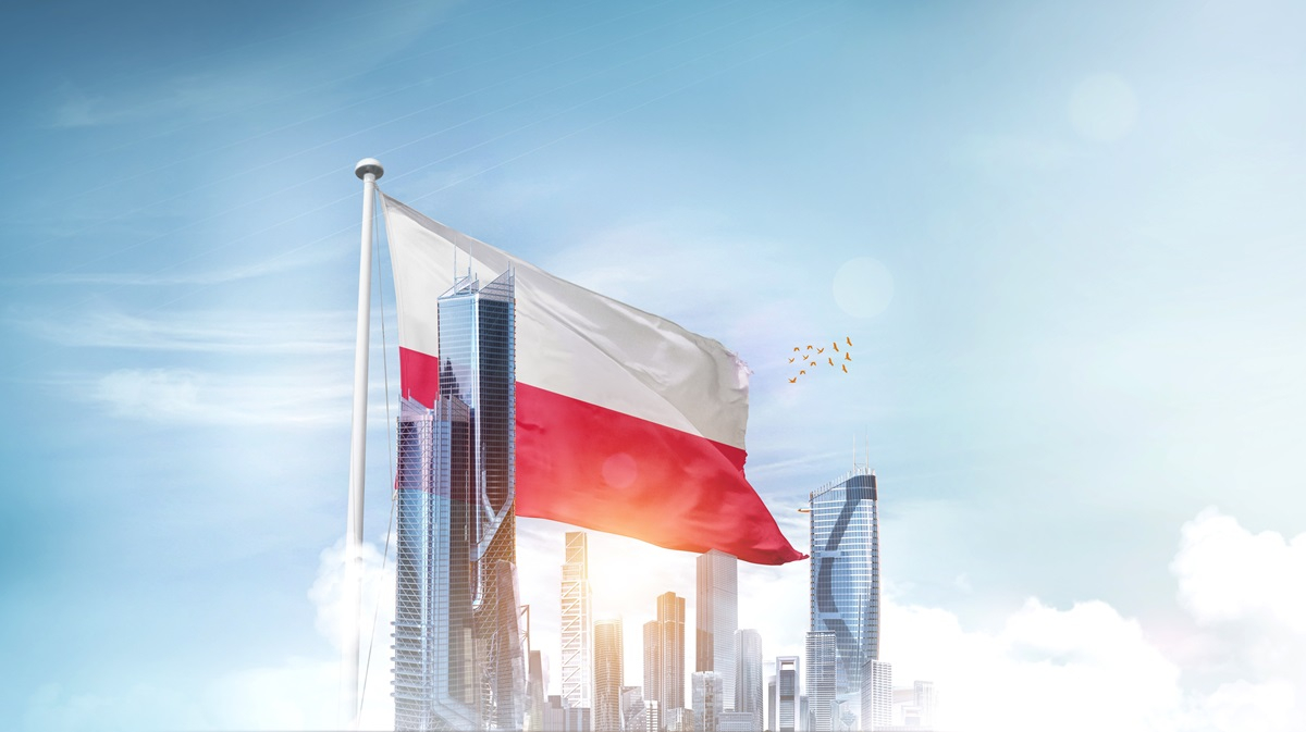 local content zamówienia publiczne inwestycje polska