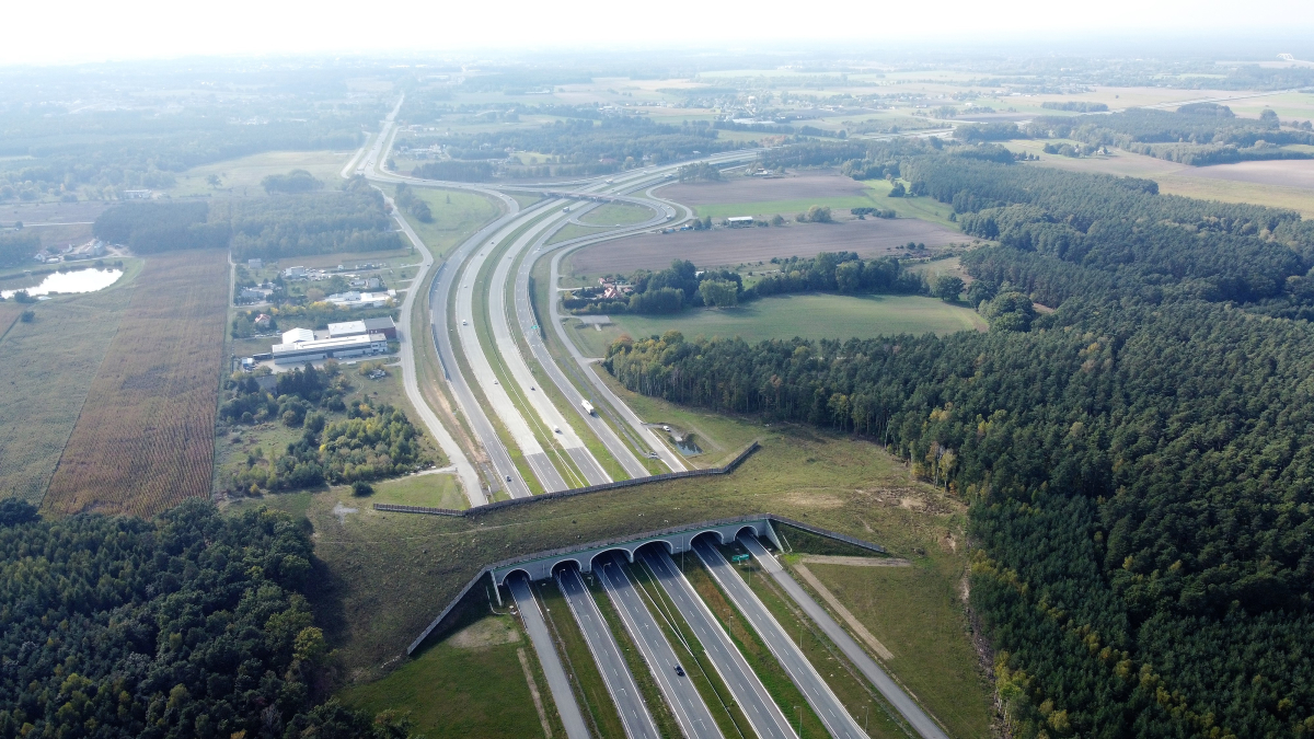 przejścia dla zwierząt, przejścia dla zwierząt nad autostradami