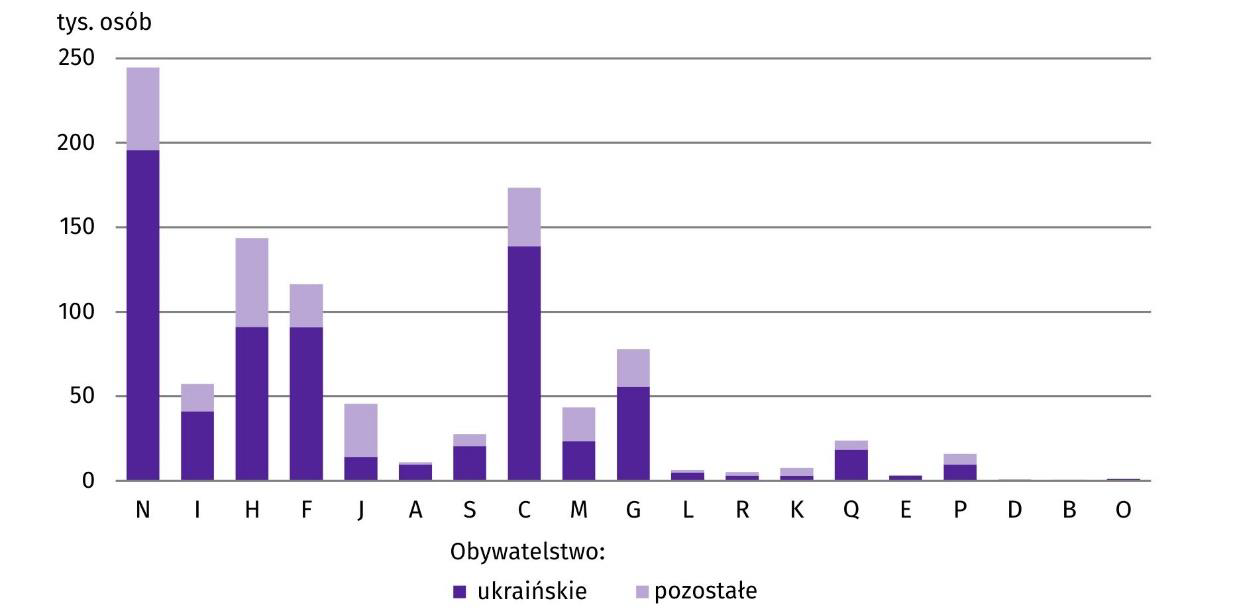 Wykres 7. Cudzoziemcy wykonujący pracę według sekcji PKD w 2022