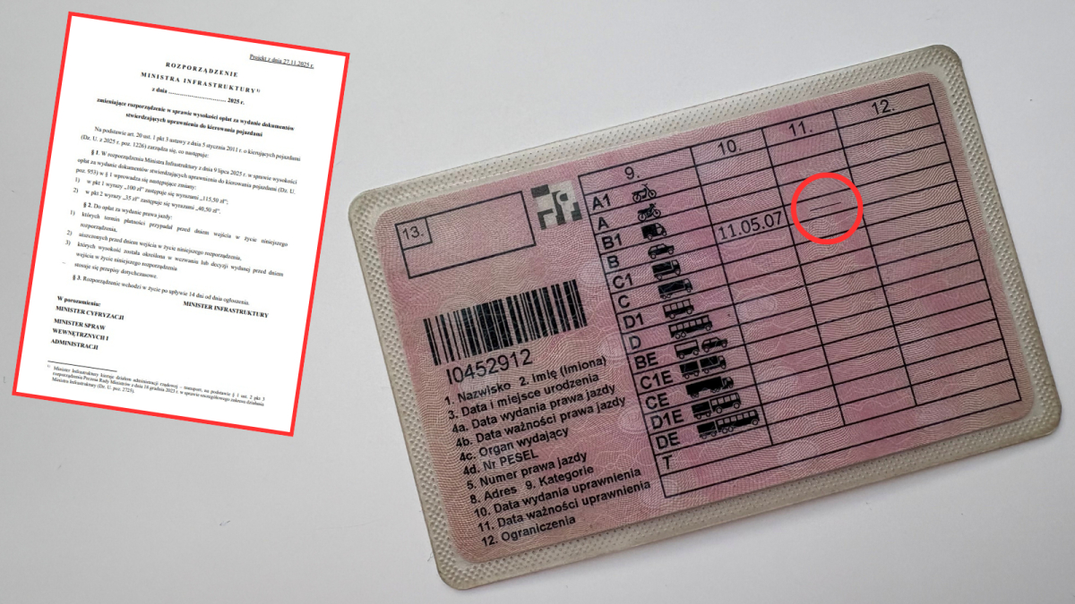 prawo jazdy, kierowca, bezterminowe prawo jazdy, dokumenty, pojazdy, rząd, opłata