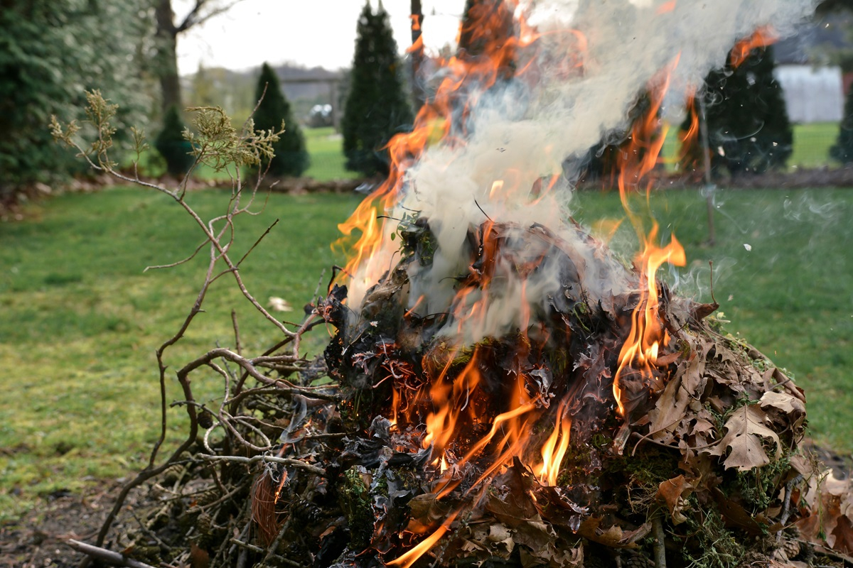 Czy można palić gałęzie i liście w ogrodzie? Czy w ogóle można palić ognisko na własnej działce?