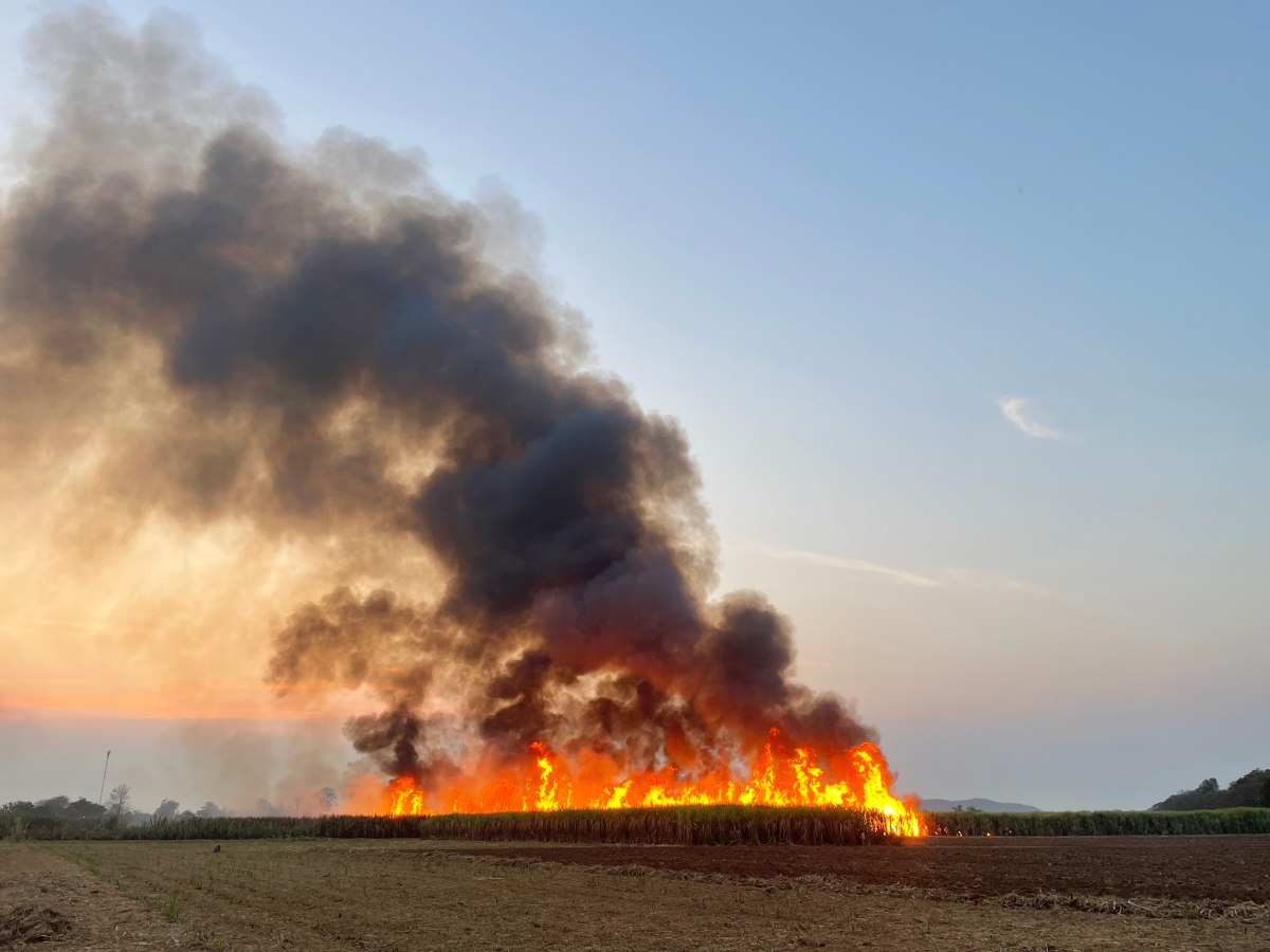 Ekspert alarmuje: wypalanie traw niszczy przyrodę i może Cię kosztować 30 tys. zł