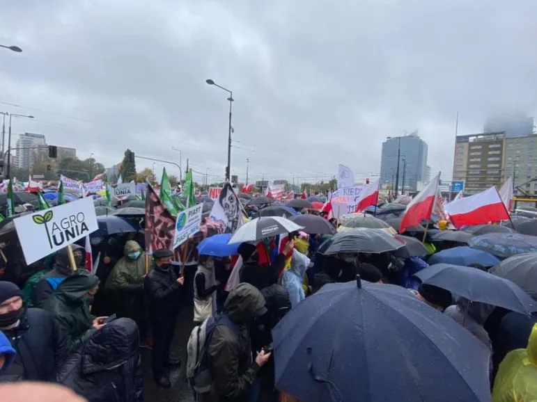 Rolnicy nie zgadzają się na nowelizację ustawy o ochronie zwierząt. /foto: Agrounia/