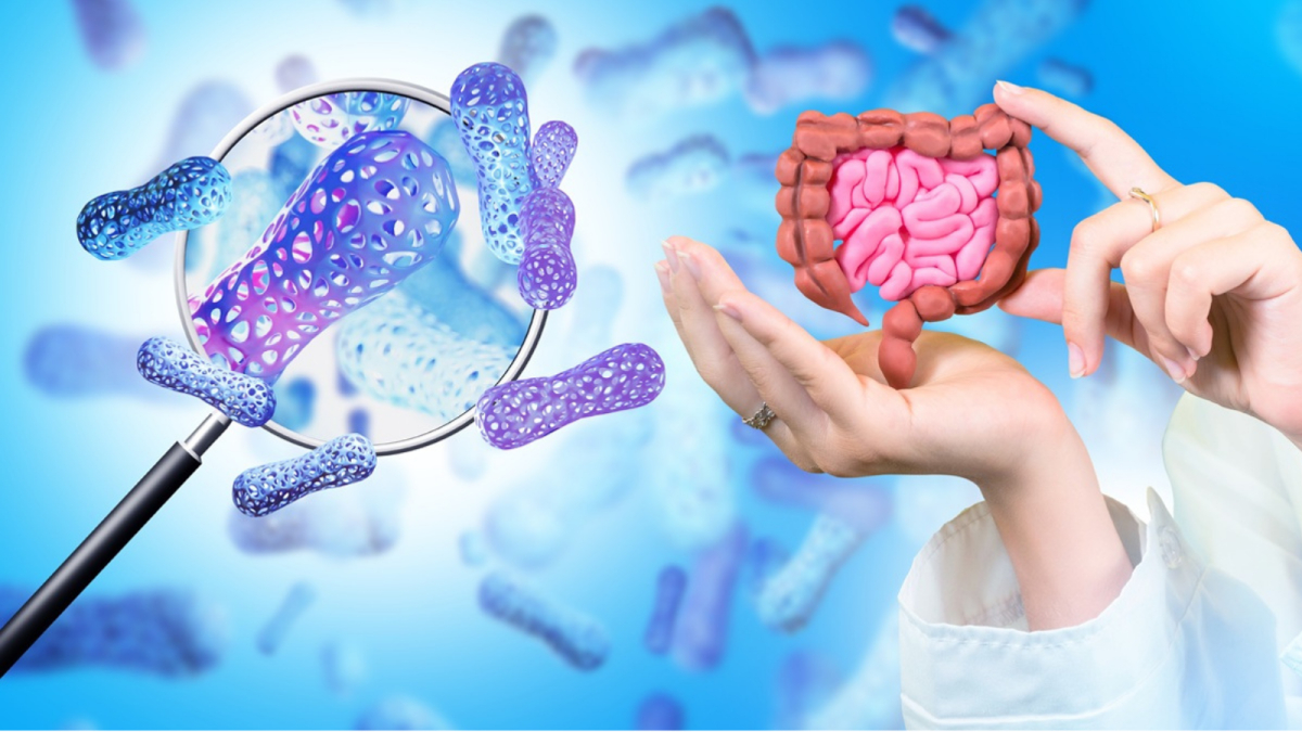 jelita mikrobiota równowaga biotyki probiotyki synbiotyk prebiotyk zdrowie
