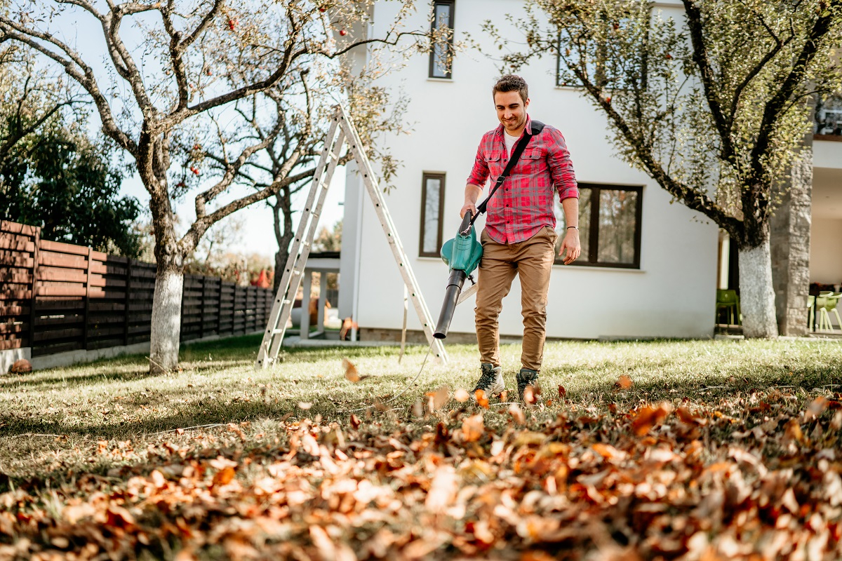 Czy można używać dmuchawy do liści? Czy jest zakaz? Jaka kara za dmuchawę?