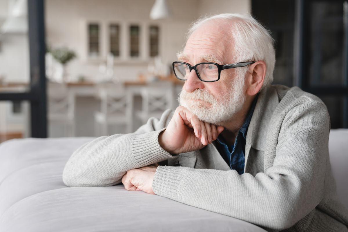 senior, 2026