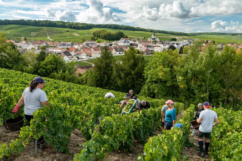 praca sezonowa zatrudnianie pracowników sezonowych tymczasowych tymczasowa sezon rekrutacja