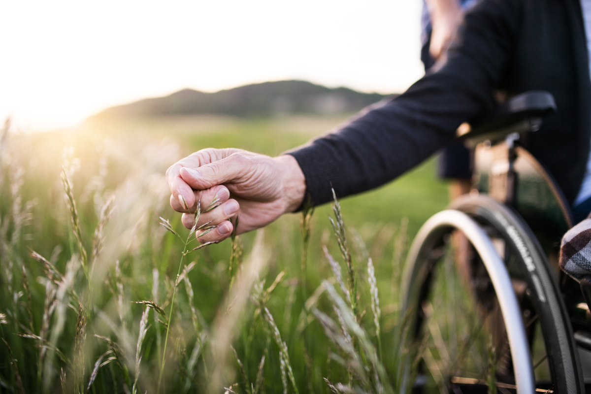 A,Hand,Of,A,Senior,Man,In,Wheelchair,Holding,Grass, niepełnosprawny, stopień niepełnosprawności