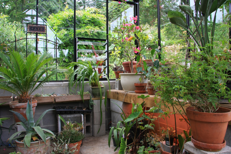 Kwiaty. Fot. Fotolia