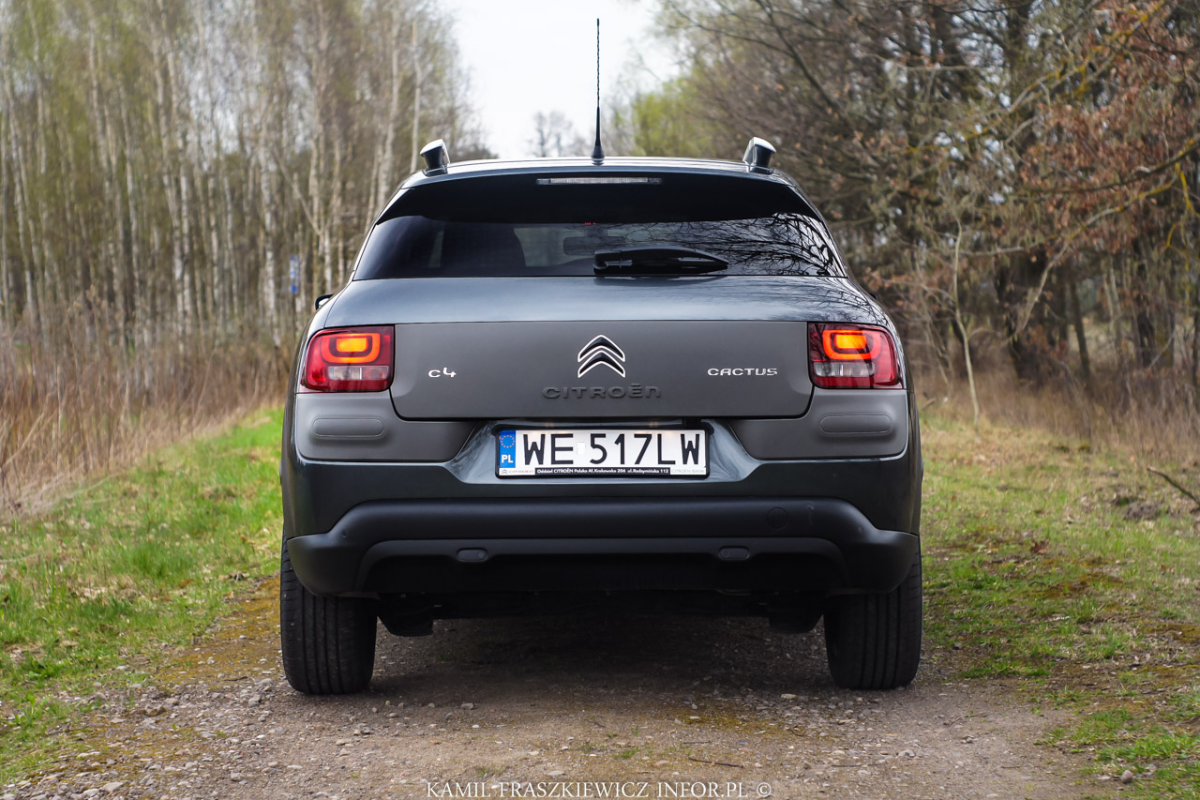Uywane: Citroen C4 Cactus (2014 - 2020) - opinie i typowe usterki -  Infor.pl