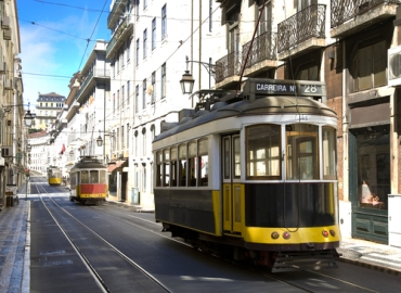 fot. shutterstock