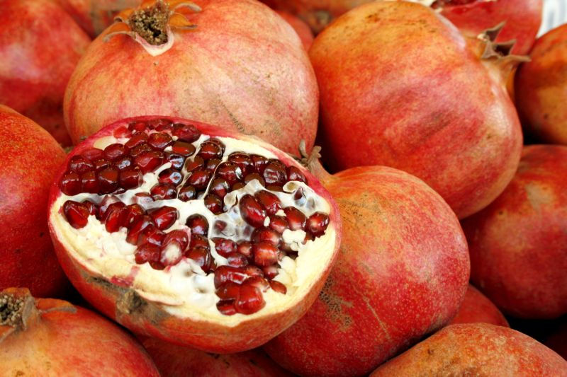 Granat (Punica granatum). Fot. Fotolia