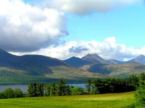 Obecnie jednym z najważniejszych zadań jakie stoją przed WPR jest stabilizacja rynku rolnego w całej Unii