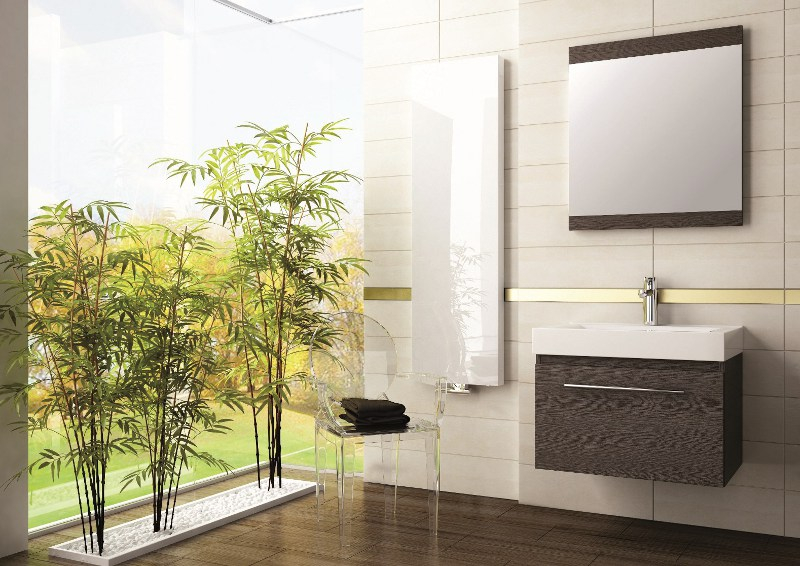 Sitowie, Cibora, Paproć, Kalatea lub Kroton – kwiaty do łazienki. Fot. Aquaform