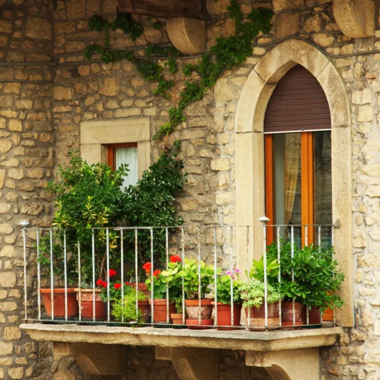 Balkon kwiatowy    Kwiaty na balkonie to namiastka ogrodu dla wszystkich tych, którzy mieszkają w blokach. Chcąc stworzyć sobie kącik pełen kwiatów, wystarczy, że wybierzemy grupę roślin, które następnie posadzimy na własnym balkonie lub na tarasie. 