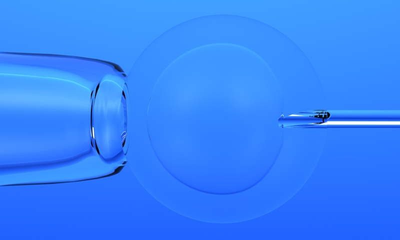 in vitro.