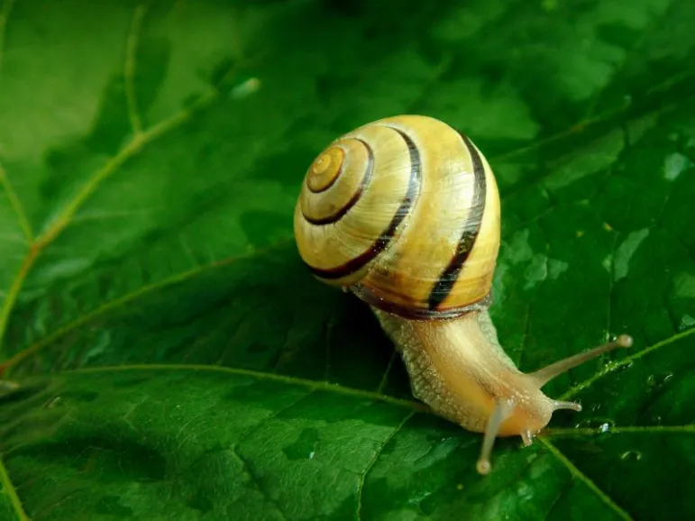 Od jakiej działalności płaci się podatek rolny? / fot. Fotolia