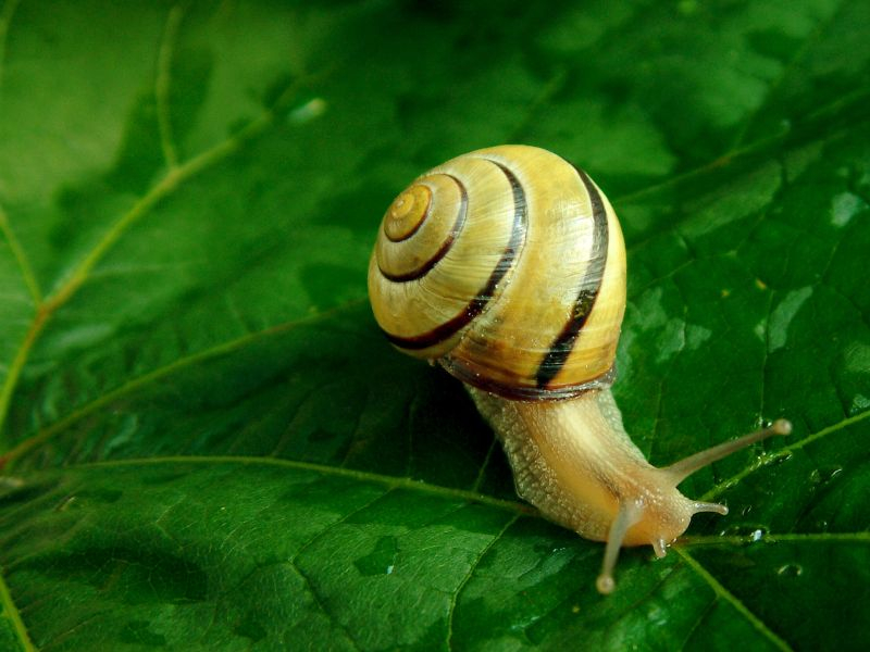 Od jakiej działalności płaci się podatek rolny? / fot. Fotolia