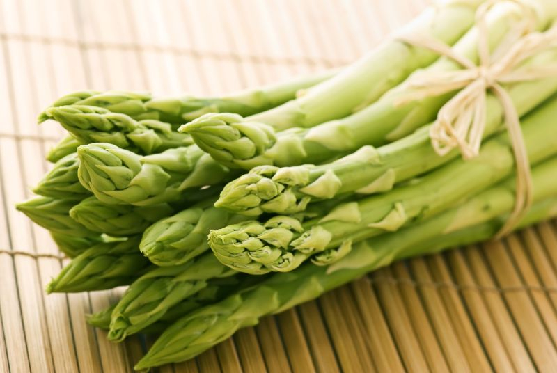 Asparagus (Asparagus).