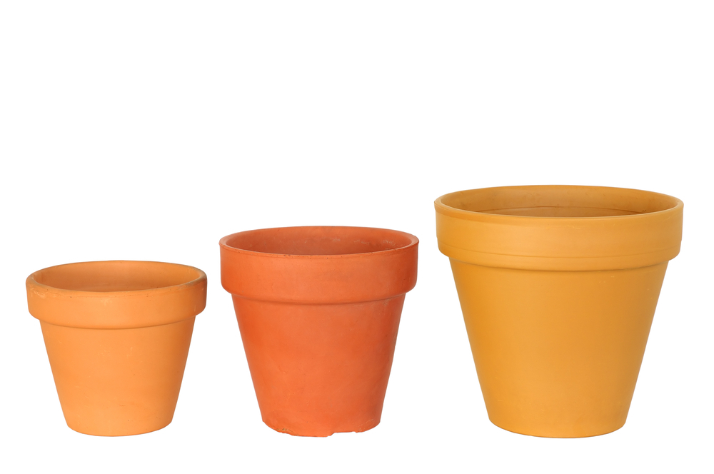 Przesadzanie roślin.