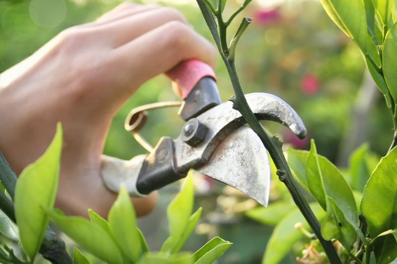 Sekator. Fot. Fotolia