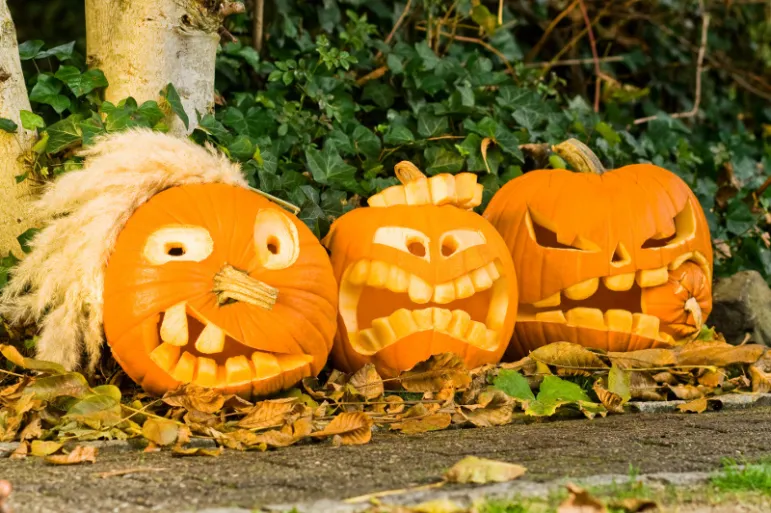 Halloween cieszy się większą popularnością, coraz więcej osób hucznie je obchodzi, a w sklepach można znaleźć coraz więcej dekoracji przeznaczonych właśnie na ten dzień. Fot. Fotolia